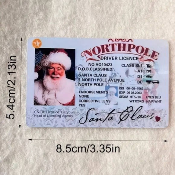 Santa Claus  Replacement Driver Sleigh Licence NWT - Picture 4 of 6